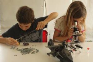 La ciencia,la tecnología y la innovación,serán protagonistas