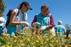 Una nueva jornada de agricultura en la Ciudad