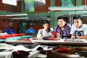 La argentina y los jòvenes empresarios y el acceso al crèdito