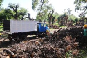 Ciudad:Parque 3 de Febrero el operativo tras el temporal