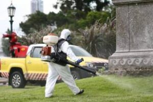 La Ciudad reforzó los operativos de desinsectación