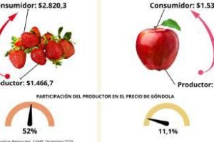 Del productor al consumidor los precios se multiplicaron