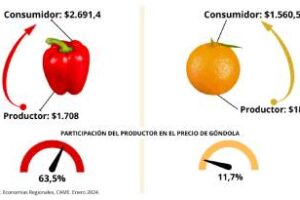 CAME:El año comenzó con una brecha de precios campo-góndola