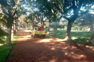 La Ciudad refuerza los operativos de desinsectización