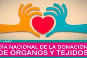 Ciudad:Actividades y jornadas en la Semana de la Donación de Órganos