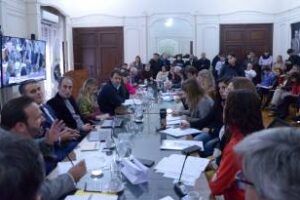 Legislatura porteña:Expertos analizaron el proyecto de reiterancia