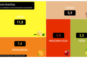 Del productor al consumidor, los precios se multiplicaron en mayo