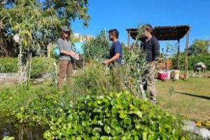 Ecoparque de Caballito:La FAUBA colabora en el manejo de la laguna