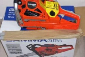 En la ciudad:Detuvieron a los «Bonnie and Clyde» ferreteros