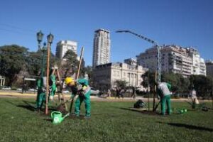 Ciudad:Plantará un 50 por ciento más de árboles que el año pasado