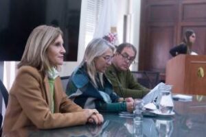 Audiencia Pùblica para tratar una ley de la Comisión de Cultura