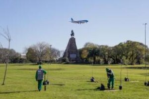 Ciudad:La plantación anual de árboles llego en tres meses el 53%