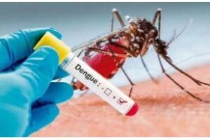 En la ciudad:Comenzó la campaña de prevención contra el Dengue