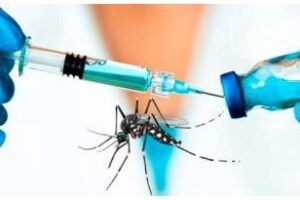 Dengue:Comenzó la inscripción para los adolescentes de 15 a 19 años