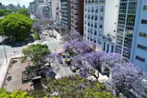 Los barrios porteños:Se tiñen de violeta y de amarillo