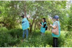 Reserva Ecológica Lago Lugano,voluntarios recogieron frutos