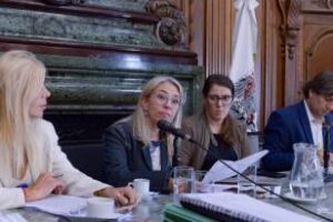 Legislatura porteña:Se reunió la comisiòn de la Cultura