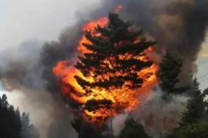 El Bolsón en llamas:El incendio ya consumió 3700 hectáreas