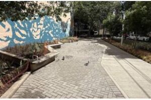 La ciudad:Terminó la reforma integral de la Plaza del Árbol