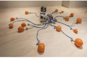 Ciudad:El Museo Fernàndez Blanco,recibi a Bienalsur 2025