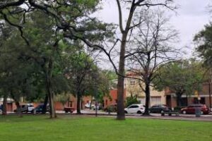 Parque Saavedra:desalojaron a los manteros por ventas ilegal