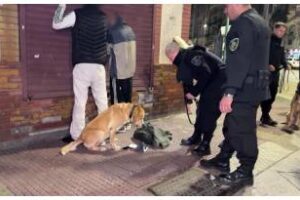 Constitución y la Boca:Controles y detenidos en procedimientos