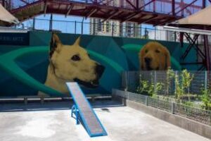 Caballito:El canil de la Plaza Giordano Bruno quedó renovado