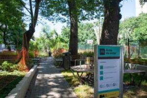 En la Plaz Plaza Almagro:Renovación de los sectores de estar