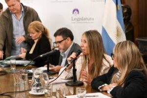 Ciudad:Actividad Parlamentaria y reuniòn de cinco comisines