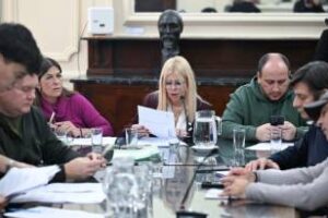La Legislatura se reunio la Comisión de Discapacidad
