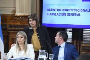 Senado:El Proyecto»Ley Hojarasca»,obtuvo dictamen favorable