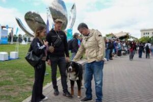 Ciudad impulsa una ley para perro y gato tenga una identificación
